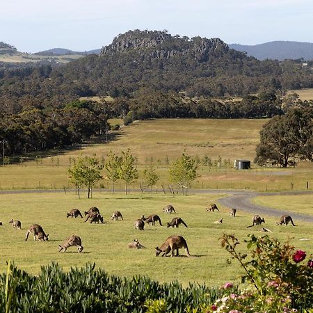 Hanging Rock Views Woodend Luaran gambar