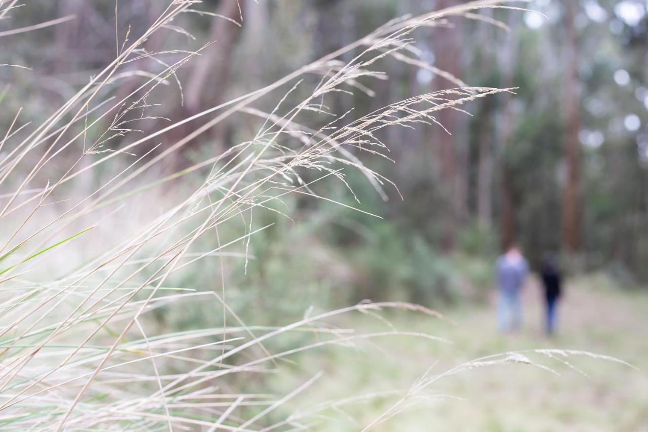 Hanging Rock Views Woodend Luaran gambar