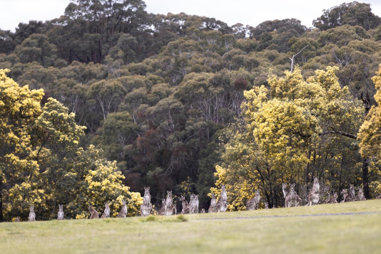 Hanging Rock Views Woodend Luaran gambar