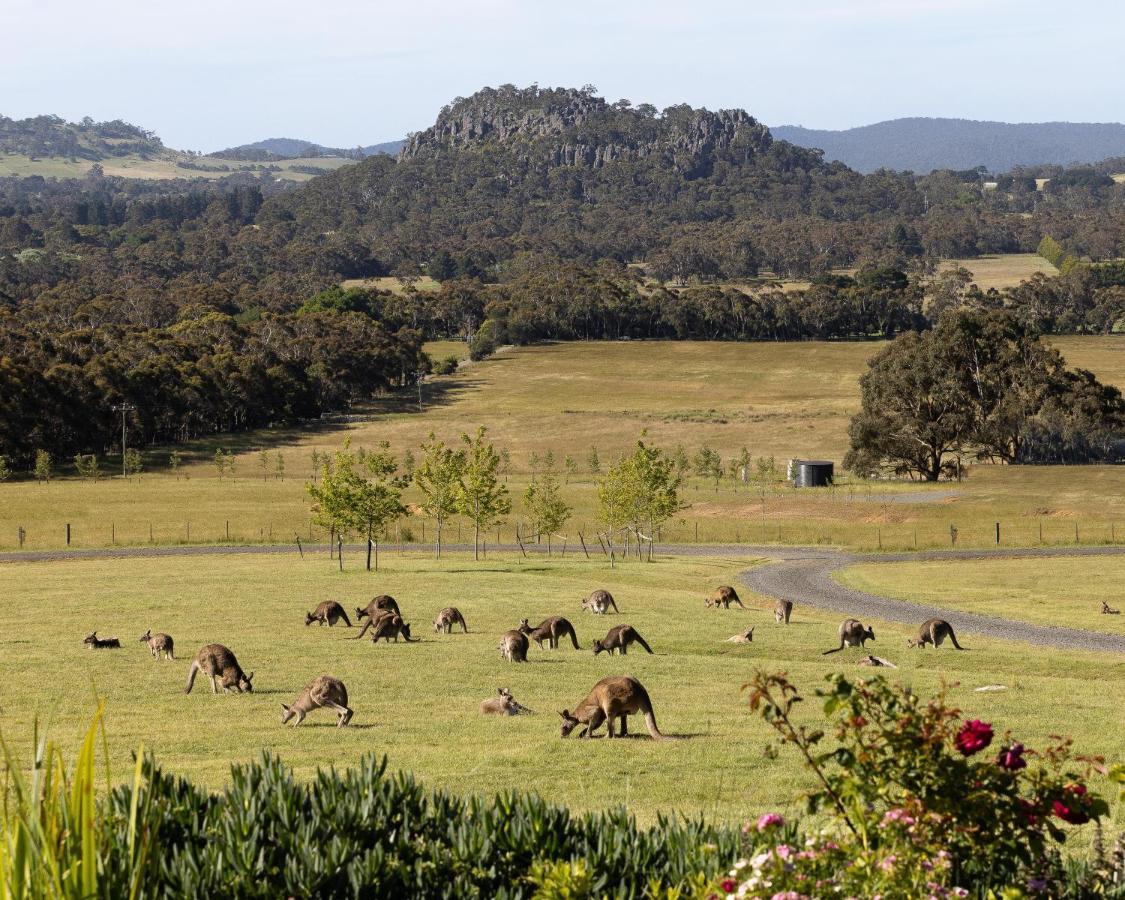 Hanging Rock Views Woodend Luaran gambar